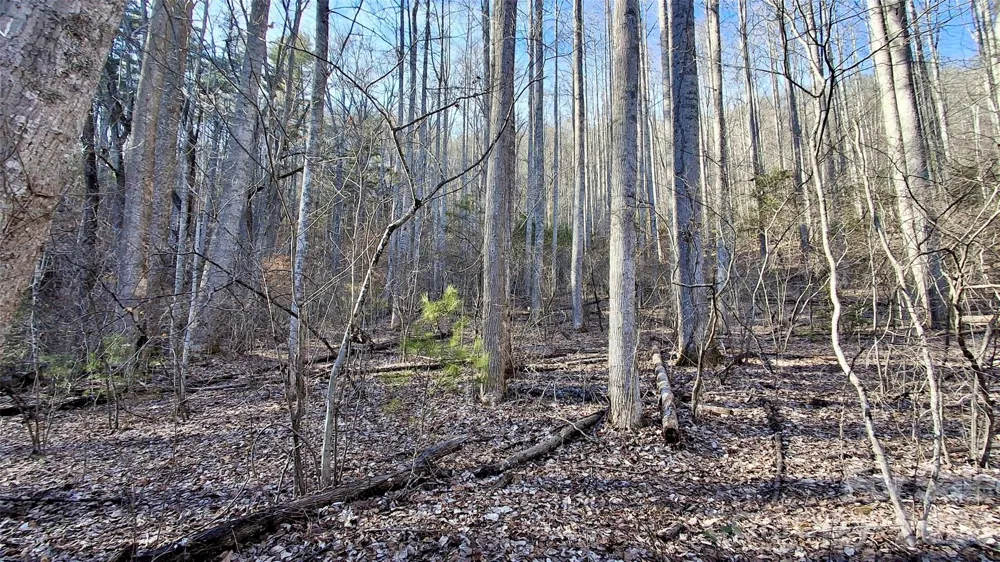 0 Briarwood Road Webster, NC 28788