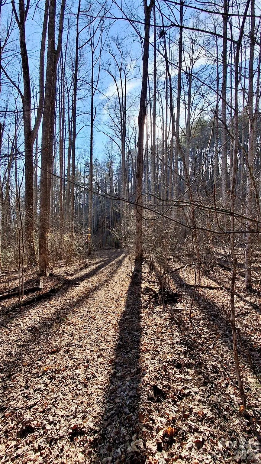 0 Briarwood Road Webster, NC 28788