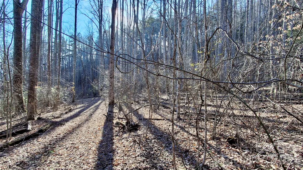0 Briarwood Road Webster, NC 28788