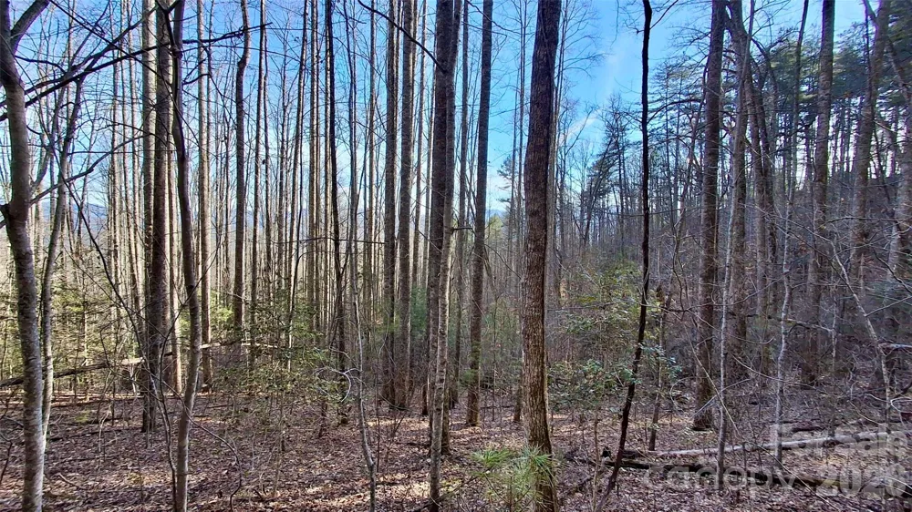 0 Briarwood Road Webster, NC 28788