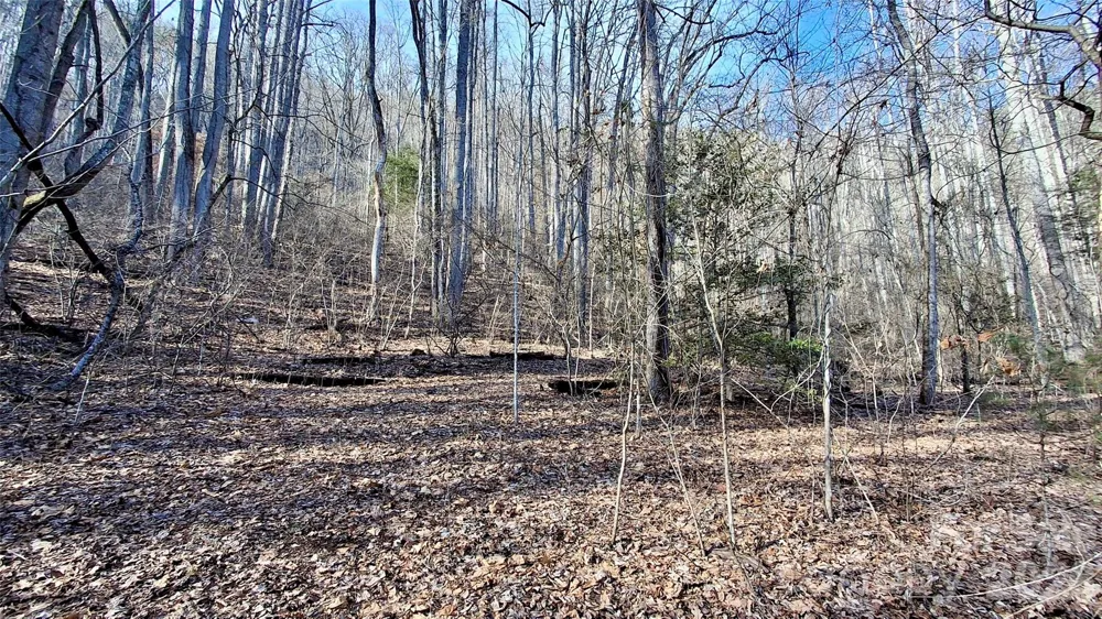 0 Briarwood Road Webster, NC 28788