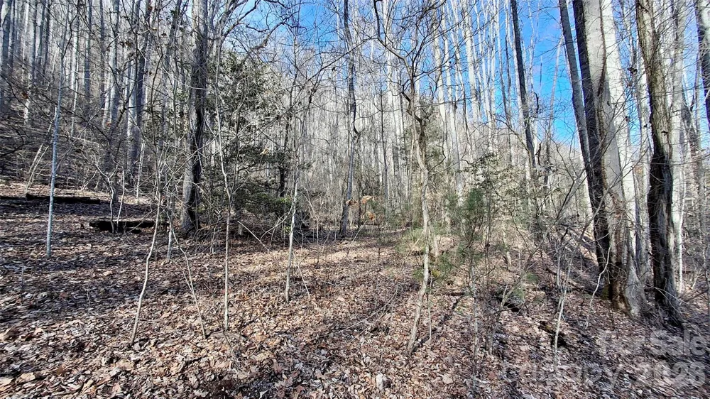 0 Briarwood Road Webster, NC 28788