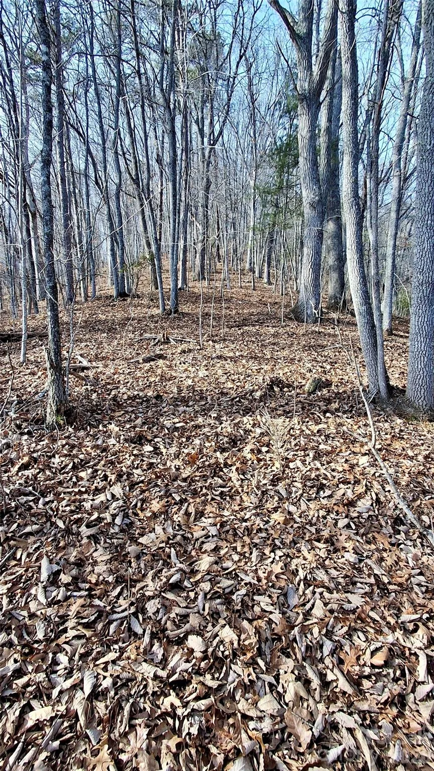 0 Briarwood Road Webster, NC 28788