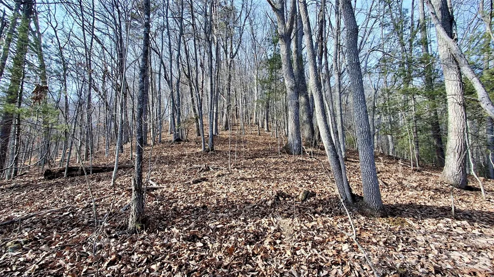 0 Briarwood Road Webster, NC 28788