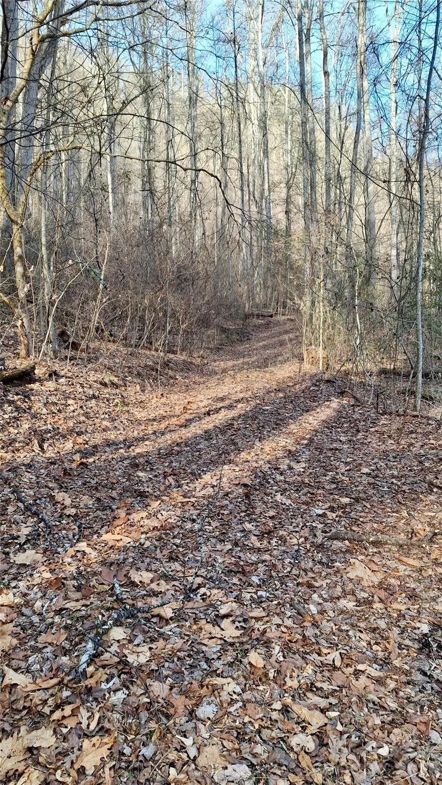 0 Briarwood Road Webster, NC 28788