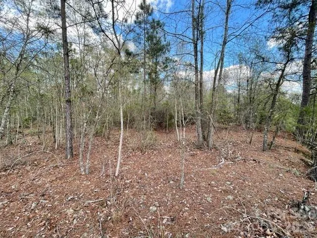 0000 Hwy 1 ByPass Cheraw, SC 29520