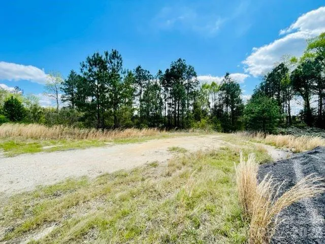0000 Hwy 1 ByPass Cheraw, SC 29520