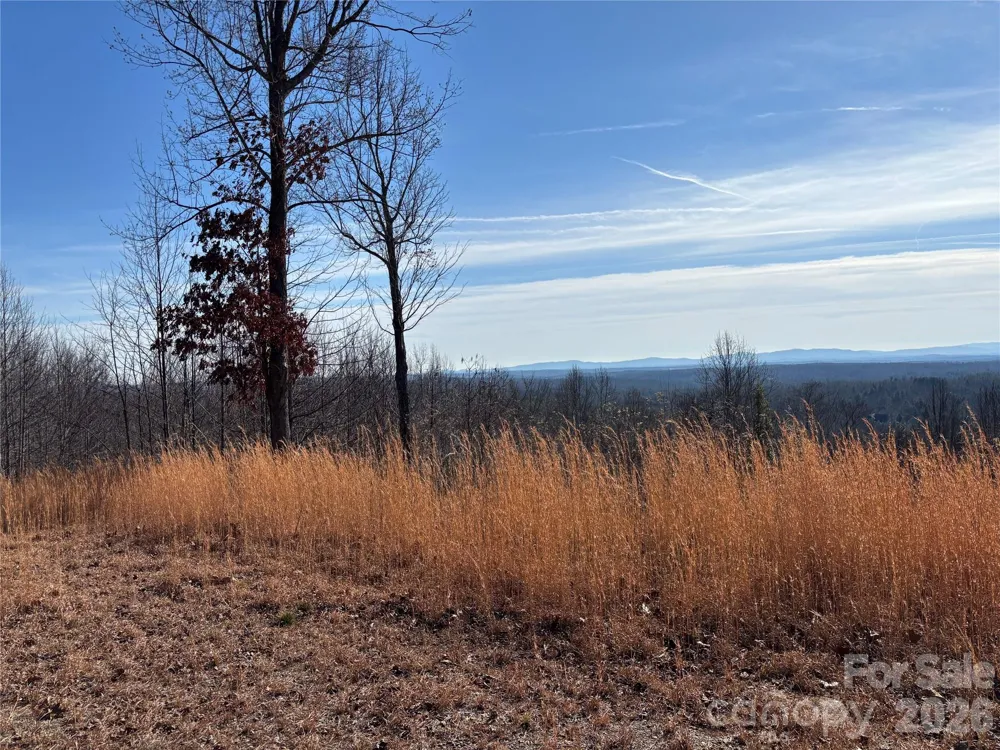 1234 Johns Ridge Parkway #204DE Lenoir, NC 28645