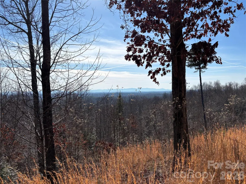 1234 Johns Ridge Parkway #204DE Lenoir, NC 28645