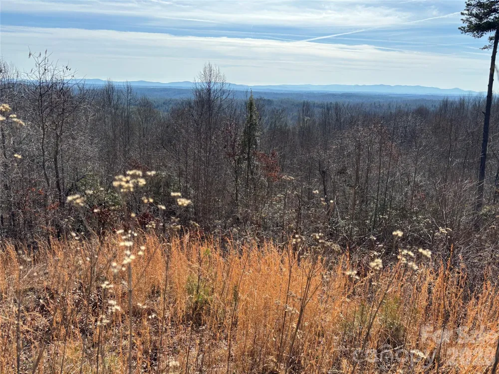 1234 Johns Ridge Parkway #204DE Lenoir, NC 28645