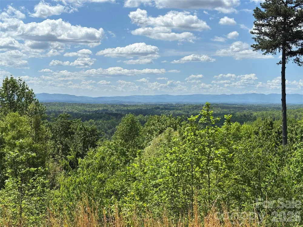 1234 Johns Ridge Parkway #204DE Lenoir, NC 28645