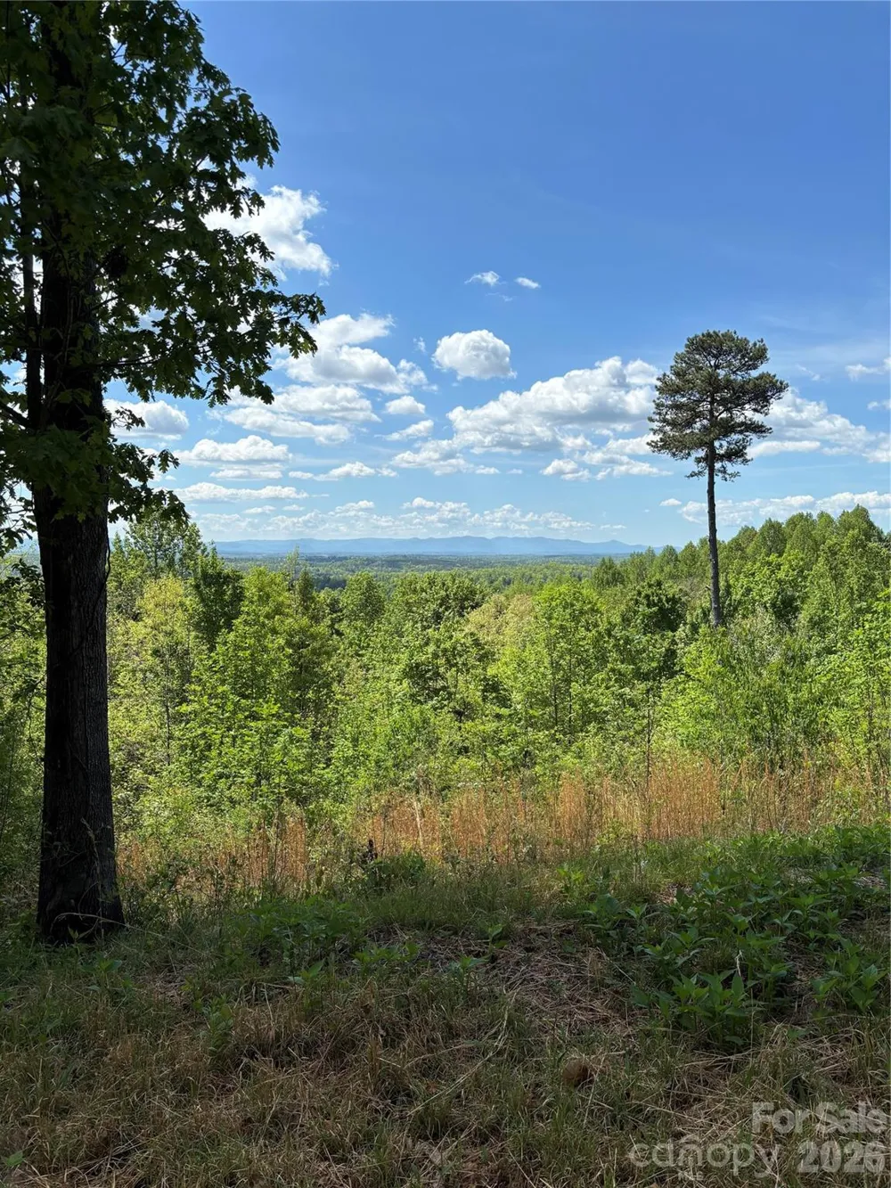 1234 Johns Ridge Parkway #204DE Lenoir, NC 28645