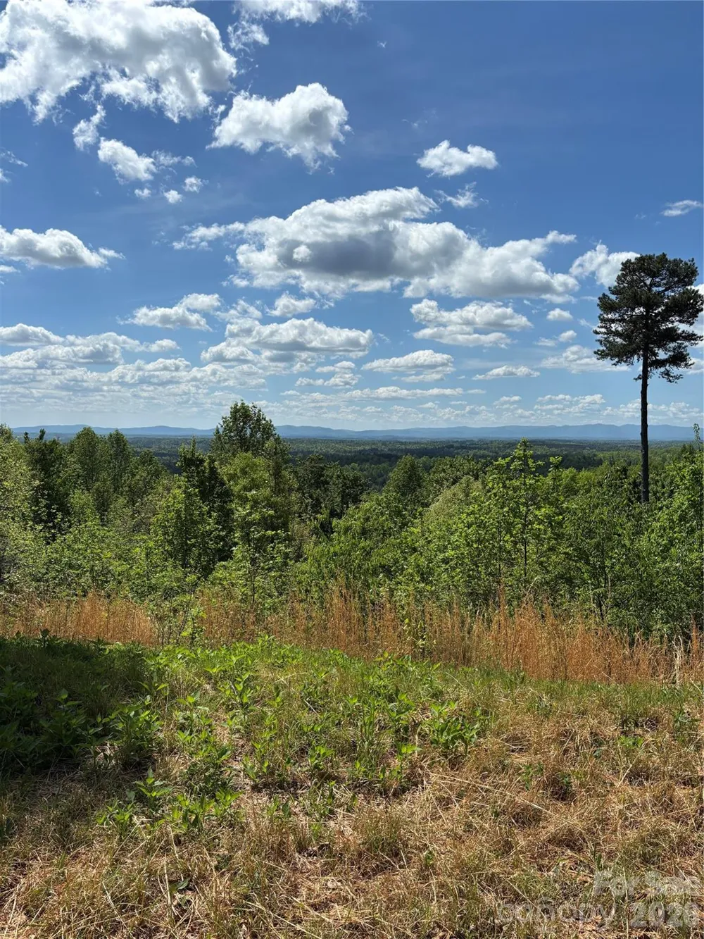 1234 Johns Ridge Parkway #204DE Lenoir, NC 28645