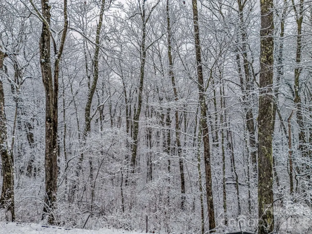 LT D54 Springwater Road #D54 Glenville, NC 28736