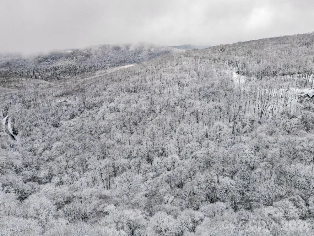LT D54 Springwater Road #D54 Glenville, NC 28736