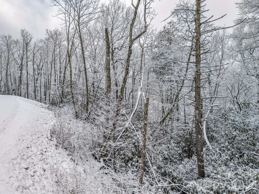 LT D54 Springwater Road #D54 Glenville, NC 28736