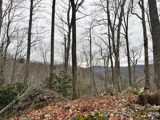 C-114 Spring Water Lane Banner Elk, NC 28604