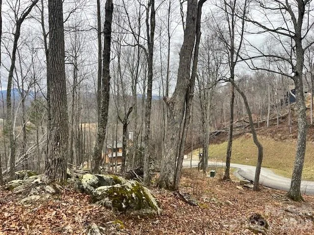 C-114 Spring Water Lane Banner Elk, NC 28604
