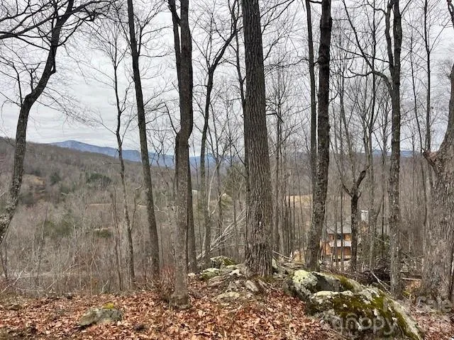 C-114 Spring Water Lane Banner Elk, NC 28604