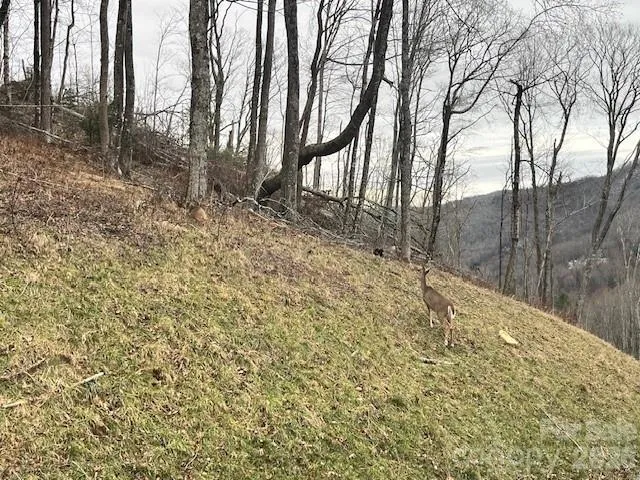 C-114 Spring Water Lane Banner Elk, NC 28604
