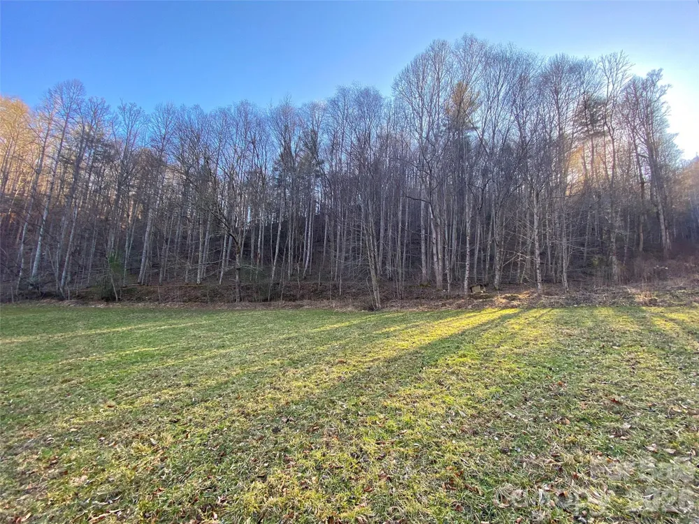 7385 Big Pine Road Marshall, NC 28753