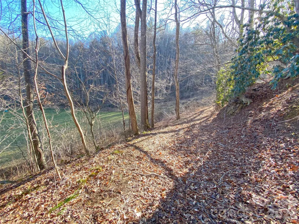 7385 Big Pine Road Marshall, NC 28753