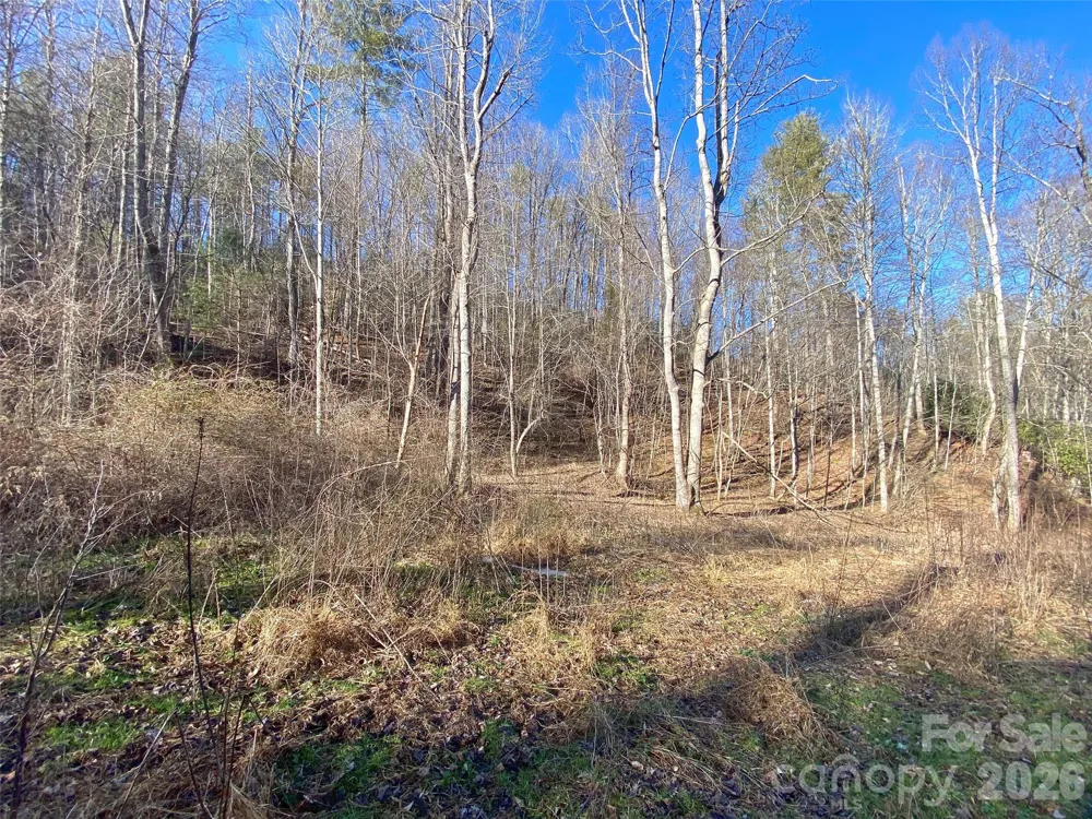 7385 Big Pine Road Marshall, NC 28753
