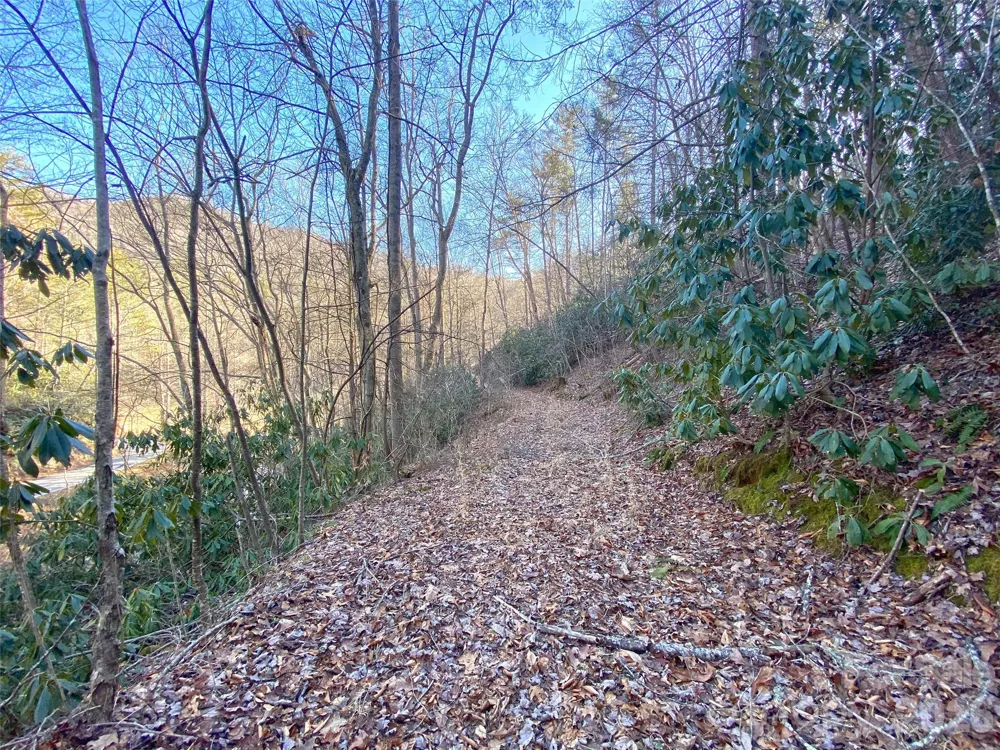 7385 Big Pine Road Marshall, NC 28753