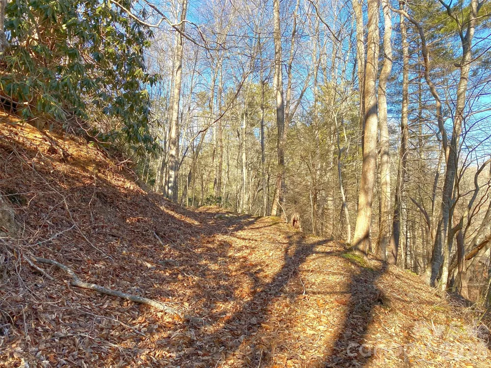 7385 Big Pine Road Marshall, NC 28753