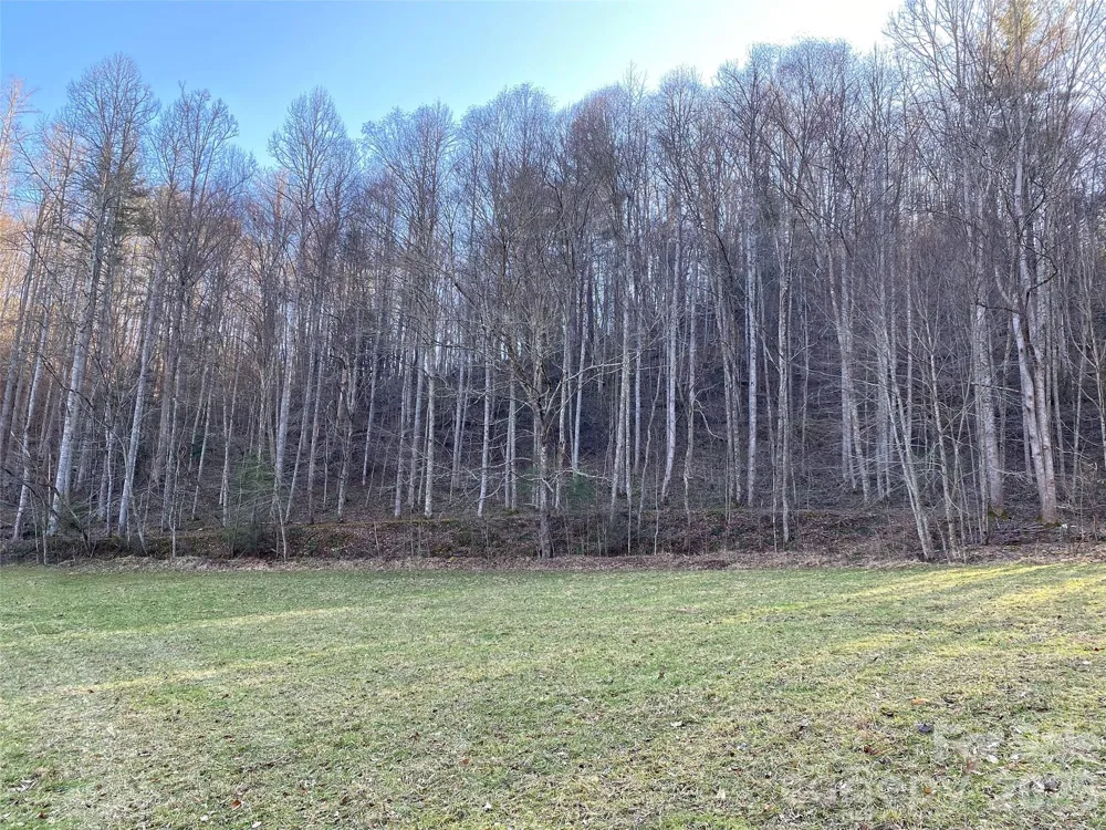 7385 Big Pine Road Marshall, NC 28753
