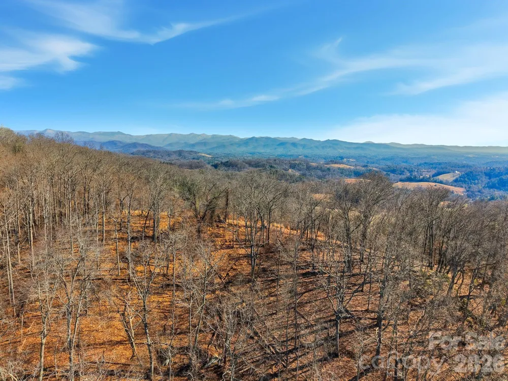 99999 Morgan Branch Road Marshall, NC 28753