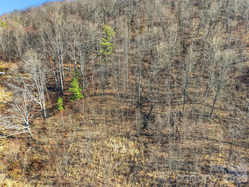 99999 Morgan Branch Road Marshall, NC 28753