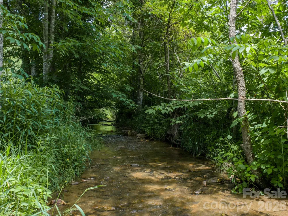 00 Sallys Branch Road Clyde, NC 28721