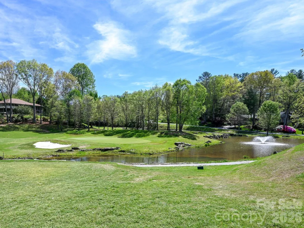 2208 E Cumming Woods Lane Hendersonville, NC 28739