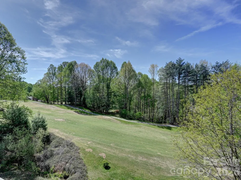 2208 E Cumming Woods Lane Hendersonville, NC 28739