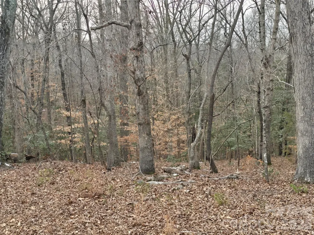 301 Chinkapin Road Troy, NC 27371