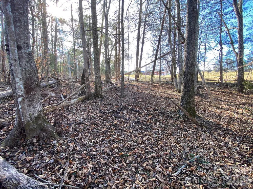 0 US Hwy 64/74A Highway Rutherfordton, NC 28139