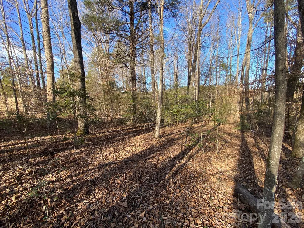 0 US Hwy 64/74A Highway Rutherfordton, NC 28139