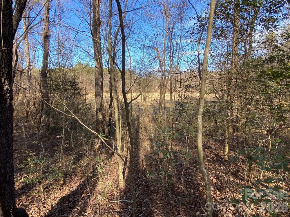 0 US Hwy 64/74A Highway Rutherfordton, NC 28139