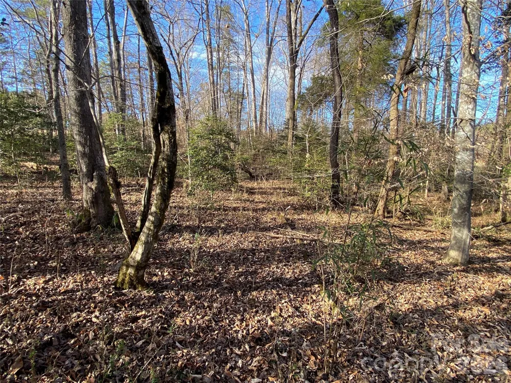 0 US Hwy 64/74A Highway Rutherfordton, NC 28139