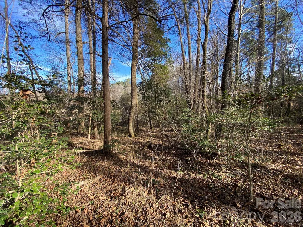 0 US Hwy 64/74A Highway Rutherfordton, NC 28139