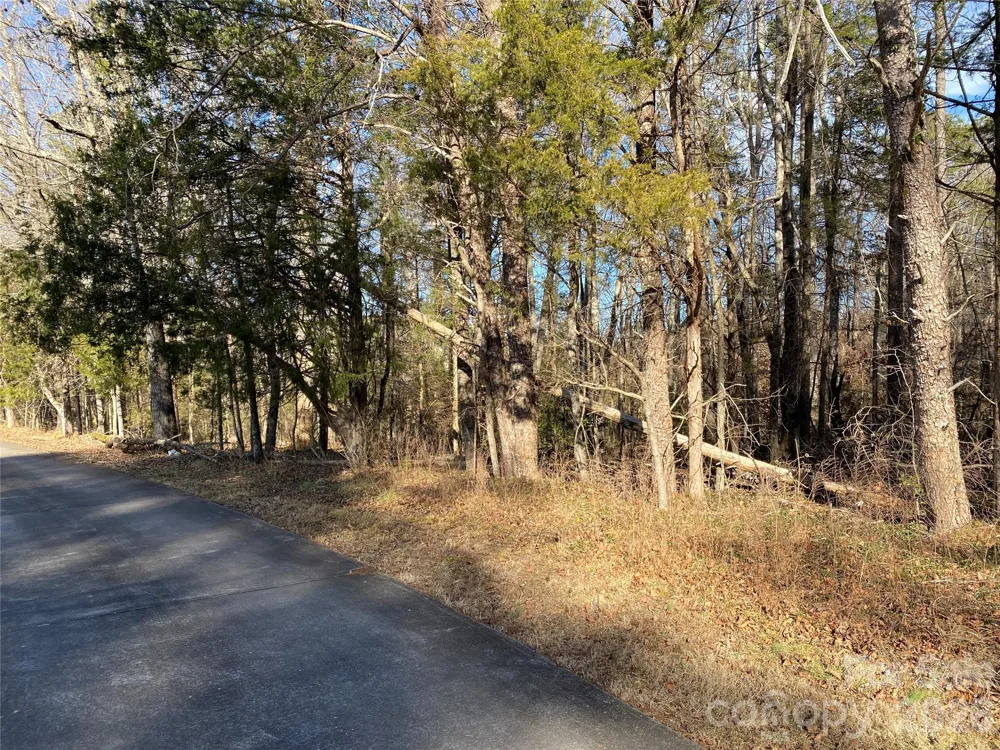 0 US Hwy 64/74A Highway Rutherfordton, NC 28139