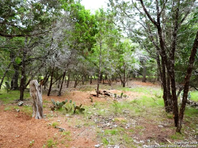 LOT 69 Tracie Trail Lakehills, TX 78063