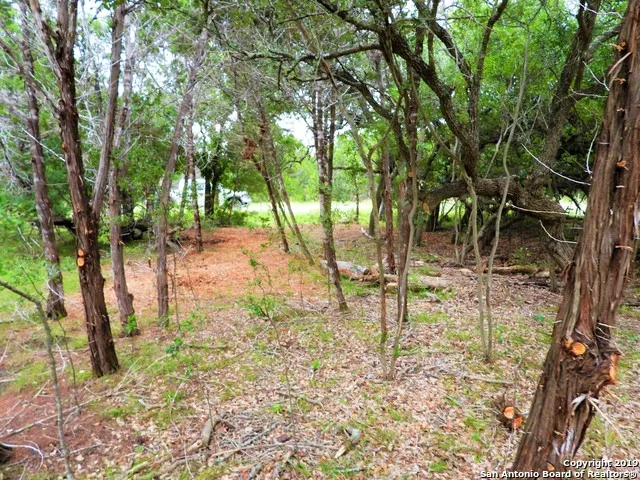 LOT 69 Tracie Trail Lakehills, TX 78063