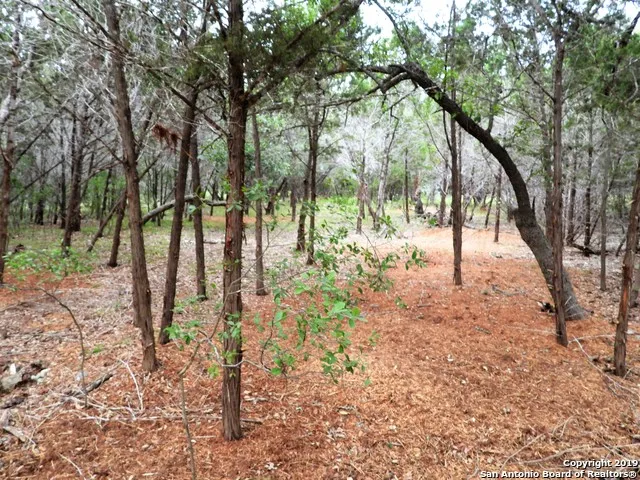 LOT 69 Tracie Trail Lakehills, TX 78063