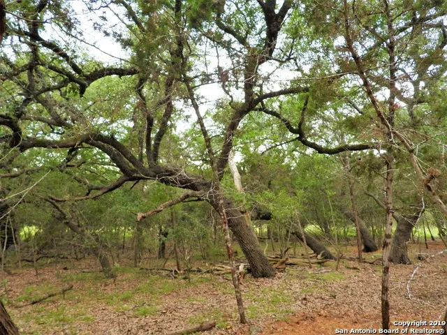 LOT 69 Tracie Trail Lakehills, TX 78063