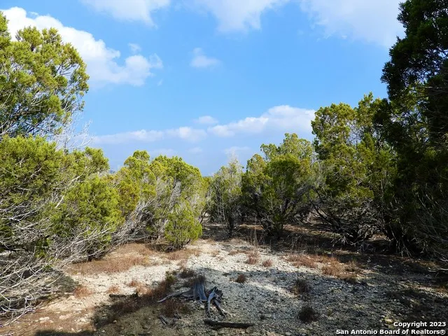 LOT 13 JOHNSON ROAD Lakehills, TX 78063
