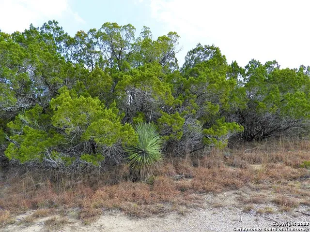 LOT 13 JOHNSON ROAD Lakehills, TX 78063