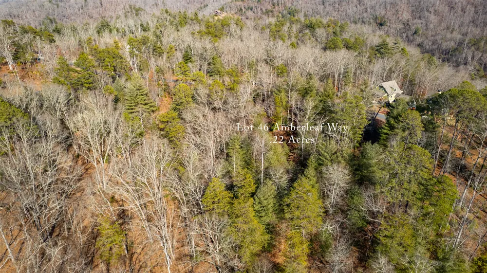 46 Amberleaf Way Cullowhee, NC 28723