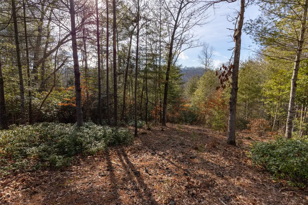 46 Amberleaf Way Cullowhee, NC 28723